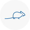 Mice Exterminators In Gainsborough